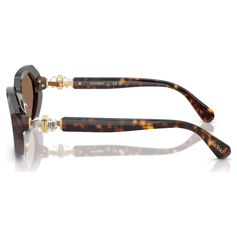 Sunglasses, Octagon shape, SK6028, Brown by SWAROVSKI