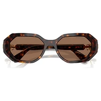 Sunglasses, Octagon shape, SK6028, Brown by SWAROVSKI