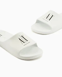 ICON PROJECT LOGO SLIDES