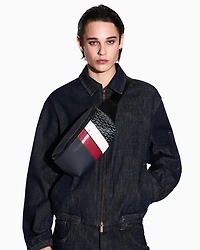 Monogram and Stripes Bum Bag