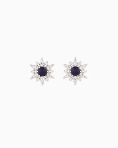 Emporio Armani -  Sterling Silver Stud Earrings, Woman, Multicoloured, Size: TU