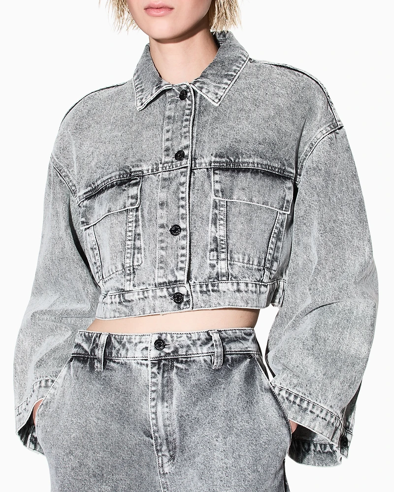 Armani Exchange - Denim Jackets, Woman, Grey, Size: