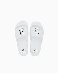ICON PROJECT LOGO SLIDES