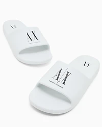 ICON PROJECT LOGO SLIDES