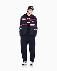 Regular fit polo shirt with zip and contrasting bands