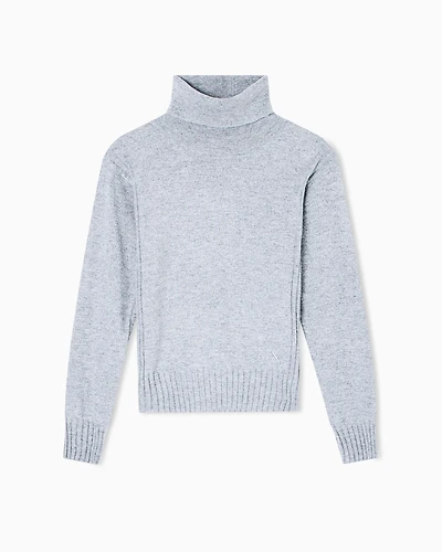 Armani Exchange - Turtlenecks, Woman, Silver, Size:
