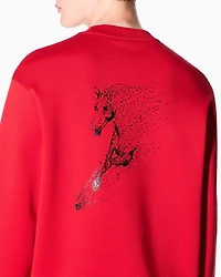 Stretch bonded cotton sweatshirt