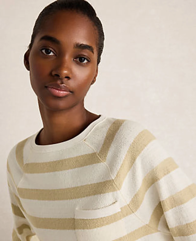 Ann Taylor Haven Well Within Cotton Slub Jersey Striped Raglan Top Ivory Cream Women's