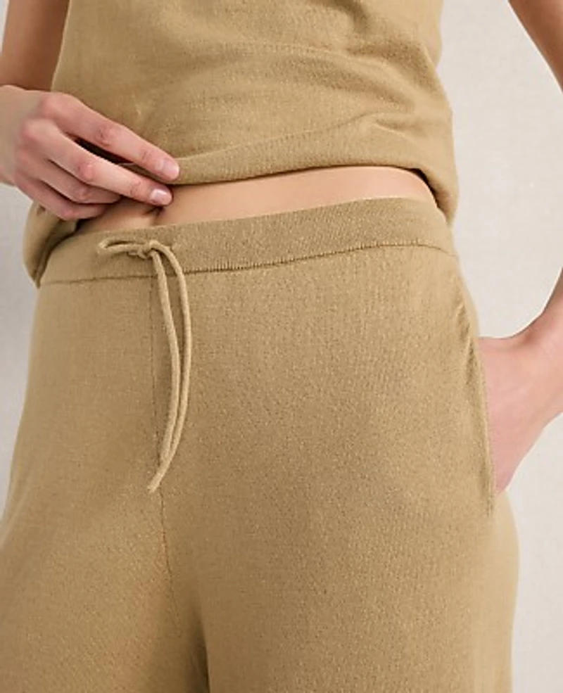 Ann Taylor Haven Well Within Organic Cotton Jersey Wide Leg Pants Truffle Women's