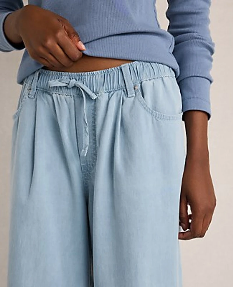 Ann Taylor Haven Well Within Organic Cotton Denim Wide Leg Pants Light Wash Women's