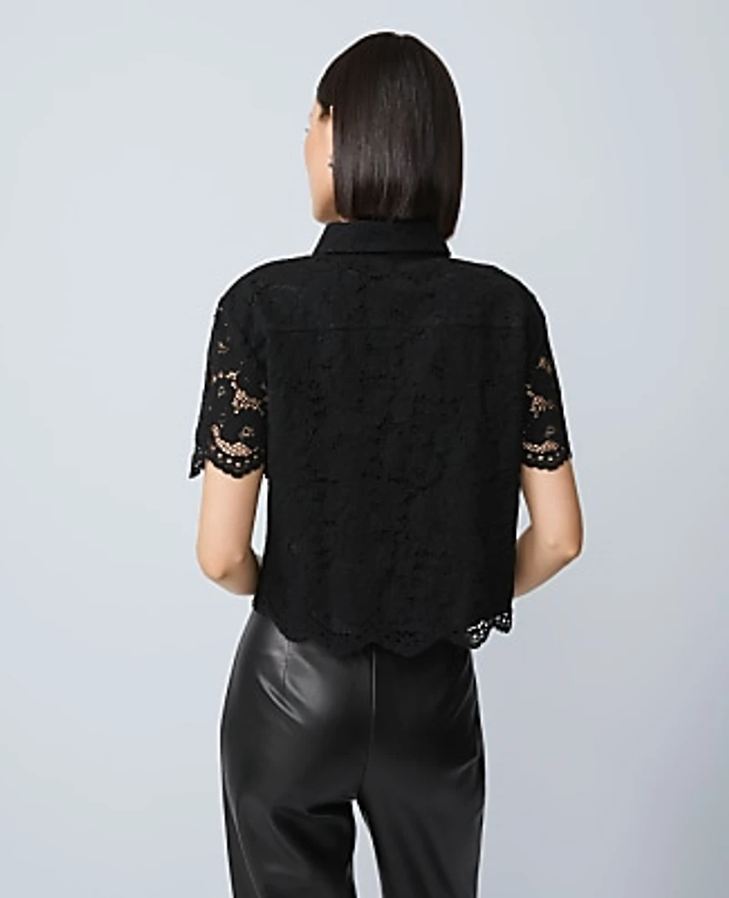 Ann Taylor Modern Lace Blouse Size Large Black Women's