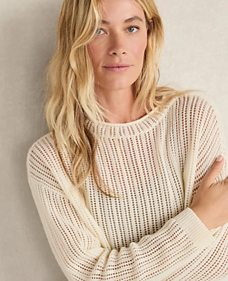 Ann Taylor Haven Well Within Wool and Cashmere Pointelle Roll Neck Sweater Ivory Women's