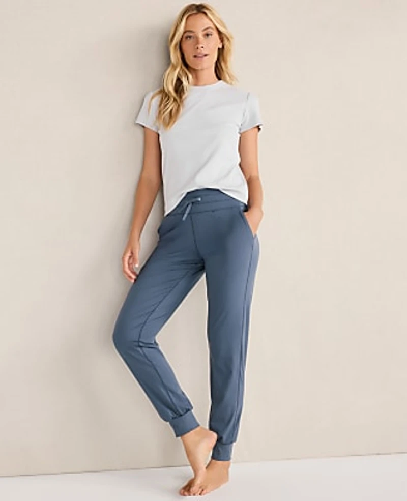 Ann Taylor Haven Well Within Balance Drawstring Joggers Women's
