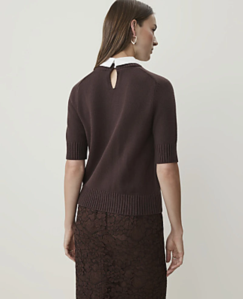 Ann Taylor Collared Mixed Media Sweater T-Shirt French Mocha Women's