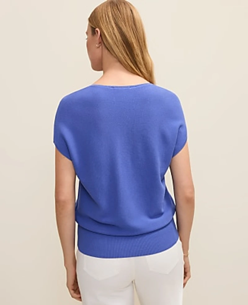 Ann Taylor Petite V-Neck Sweater Women's