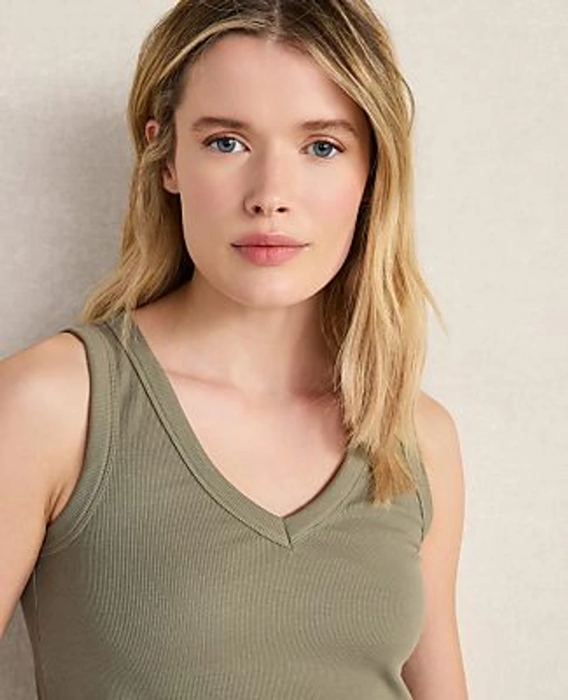 Ann Taylor Haven Well Within Organic Cotton Rib Knit V-Neck Tank Top Vetiver Women's
