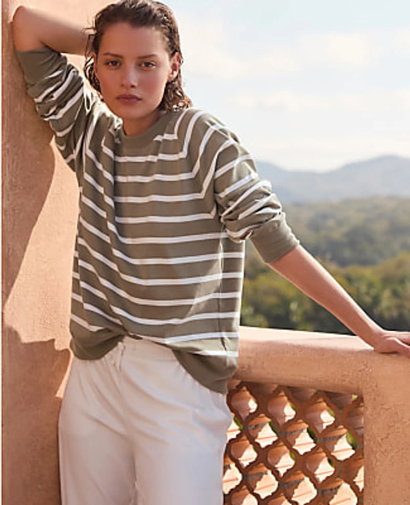 Ann Taylor Haven Well Within Organic Cotton Interlock Everyday Sweatshirt Vetiver Women's