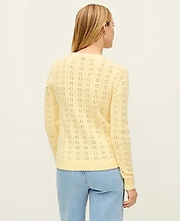 Ann Taylor Petite Cozy Pointelle Sweater Women's