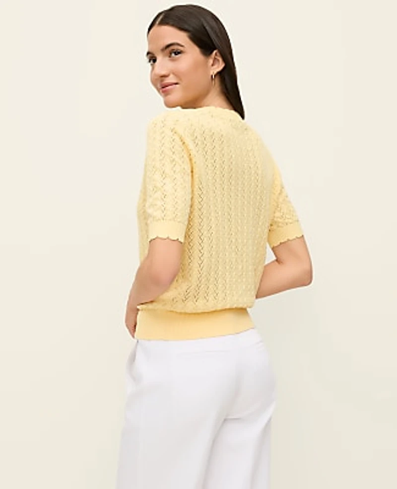 Ann Taylor Petite Pointelle Sweater T-Shirt Women's