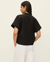 Ann Taylor Petite Stand Collar Poplin Blouse Women's