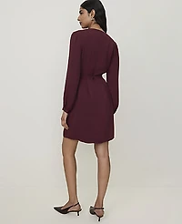 Ann Taylor Belted V-Neck Flare Dress Purest Plum Women's