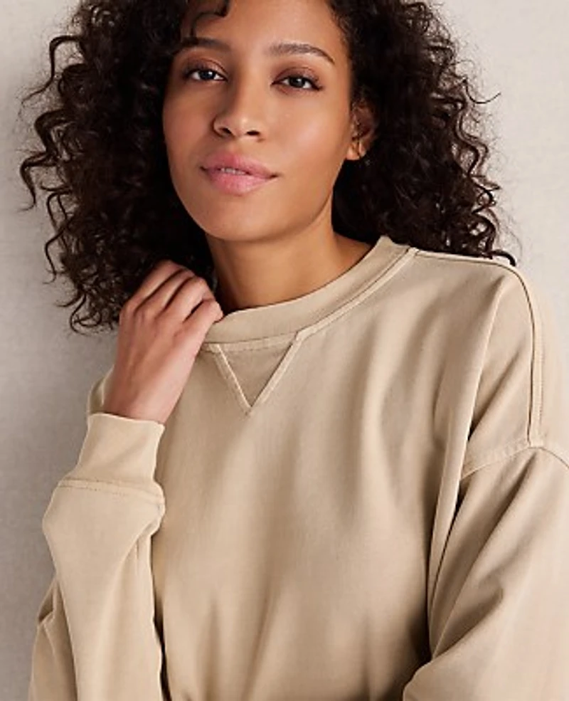 Ann Taylor Haven Well Within Garment-Dyed Organic Cotton Terry Crewneck Women's