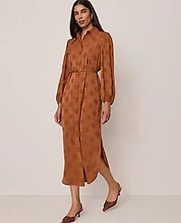 Ann Taylor Belted Midi Shirtdress Size 0 Spiced Cider Women's