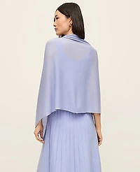 Ann Taylor Oversized Wrap Scarf Women's