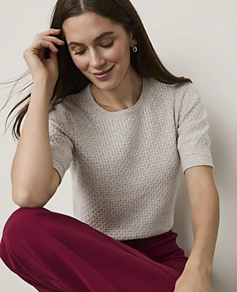 Ann Taylor Petite Pointelle Stitch Wedge T-Shirt Women's