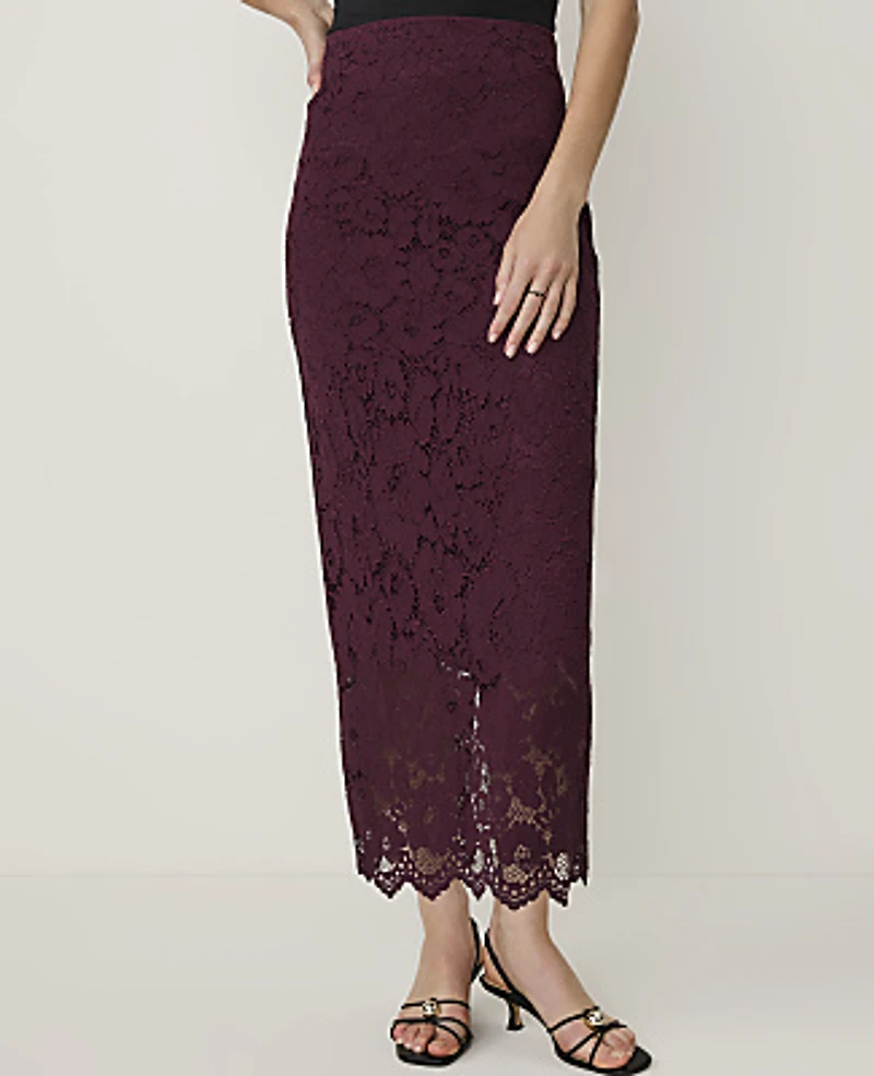 Ann Taylor Petite Column Lace Midi Skirt Poised Plum Women's