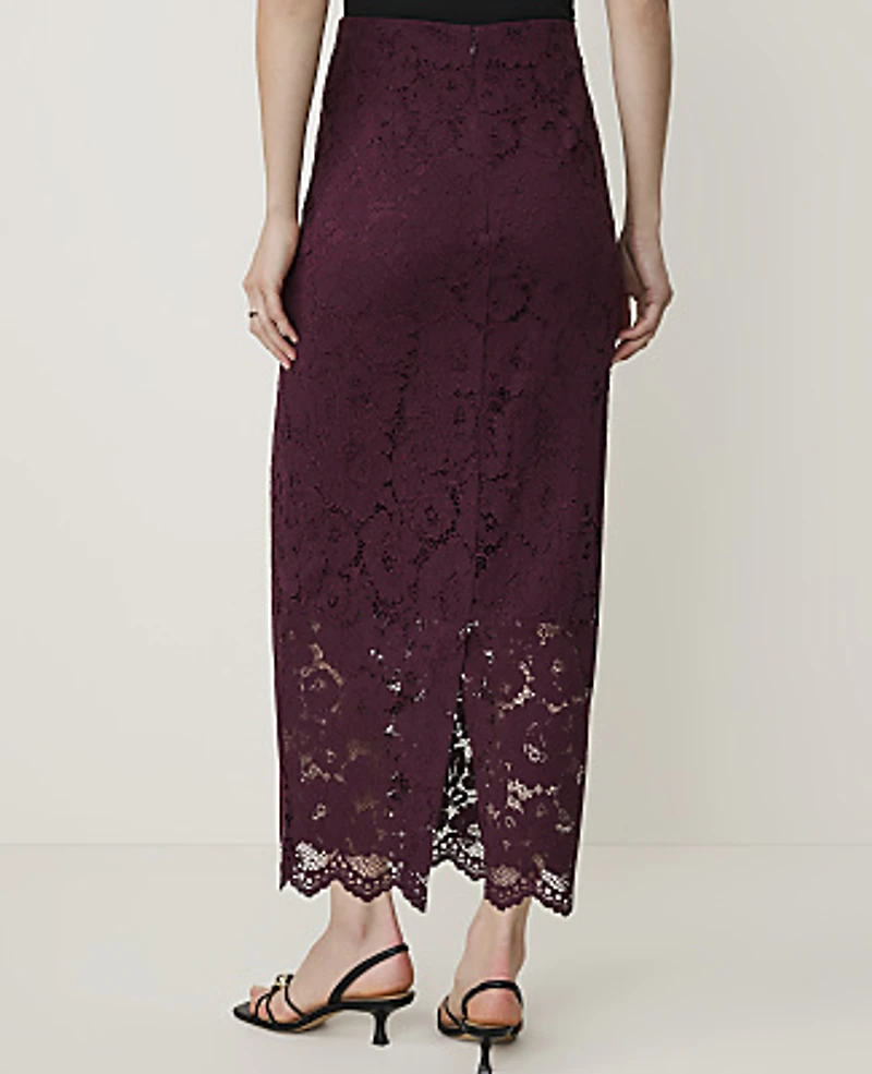 Ann Taylor Petite Column Lace Midi Skirt Poised Plum Women's