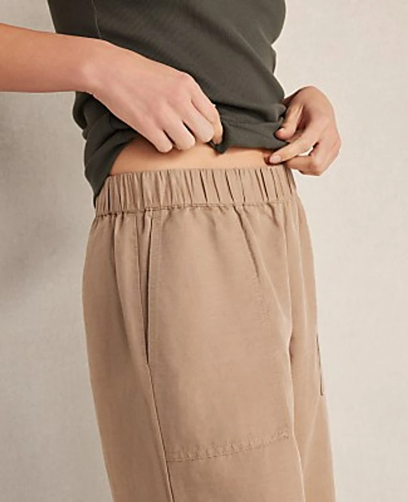 Ann Taylor Haven Well Within Linen Blend Dobby Wide Leg Pants Neutral Women's