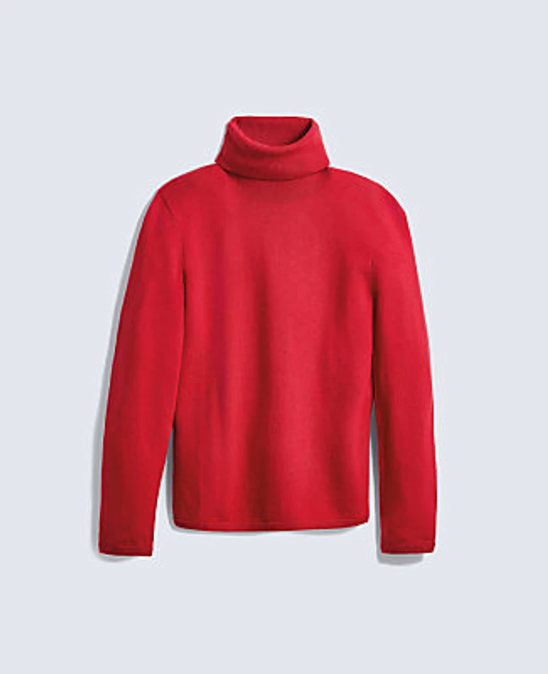 Ann Taylor Essential Turtleneck Sweater Women's