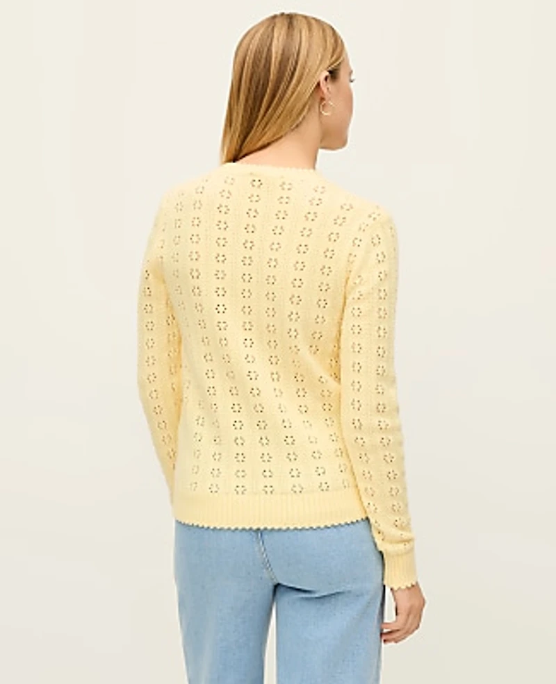 Ann Taylor Cozy Pointelle Sweater 2XS Women's