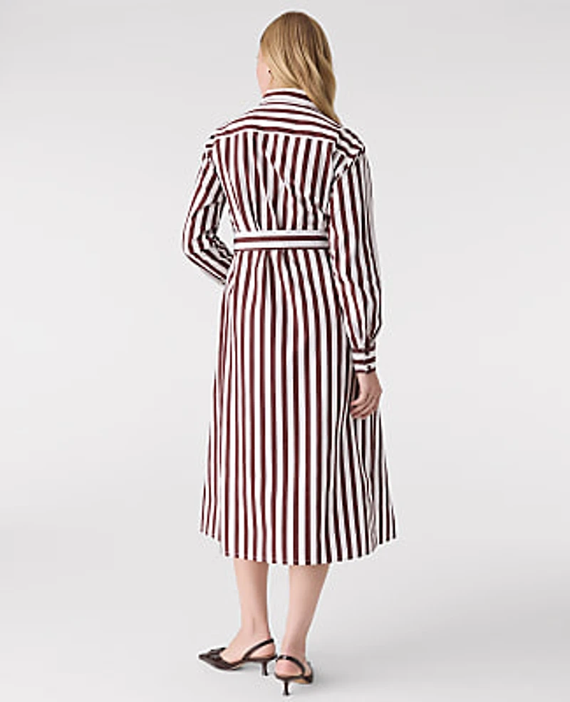 Ann Taylor Striped Collared Midi Shirtdress Deep Bronze Women's