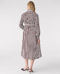 Ann Taylor Striped Collared Midi Shirtdress Deep Bronze Women's