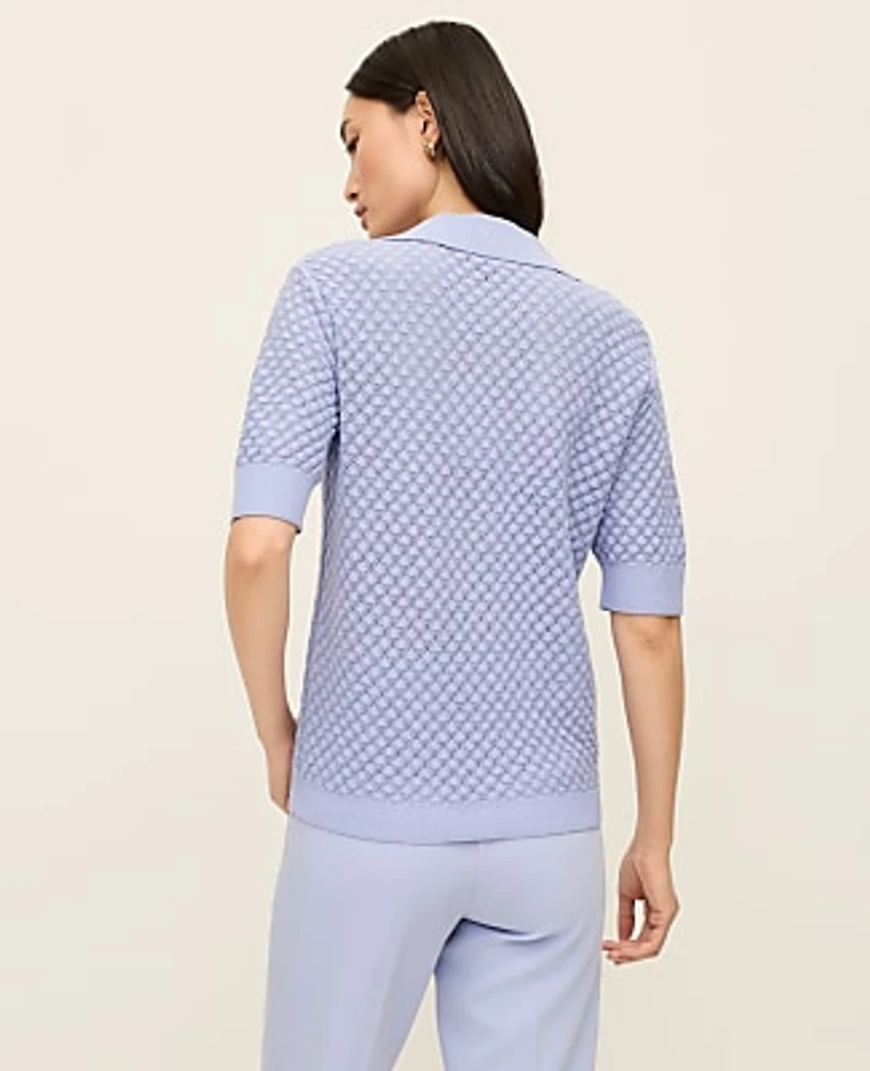 Ann Taylor Pointelle Polo Sweater Women's