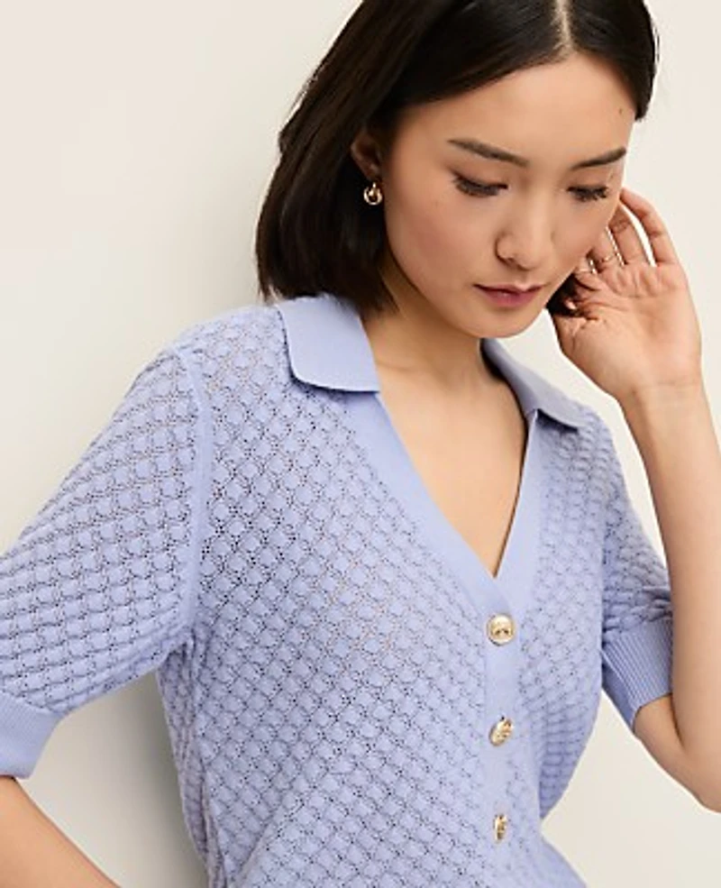 Ann Taylor Pointelle Polo Sweater Women's