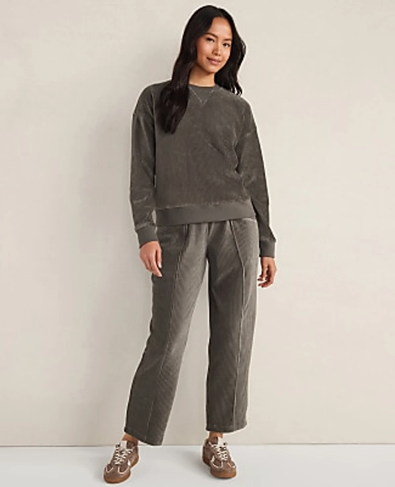 Ann Taylor Haven Well Within Corded Velour Crewneck Pullover Rainwash Blue Women's