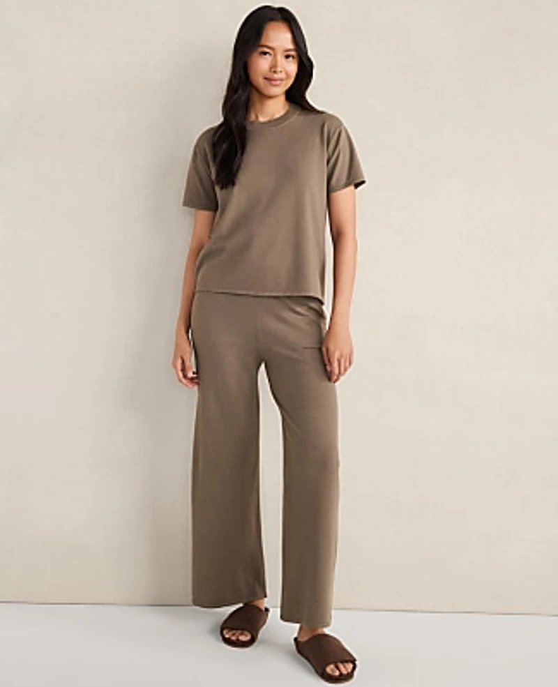 Ann Taylor Haven Well Within Relaxed Jersey T-Shirt Saddle Brown Women's