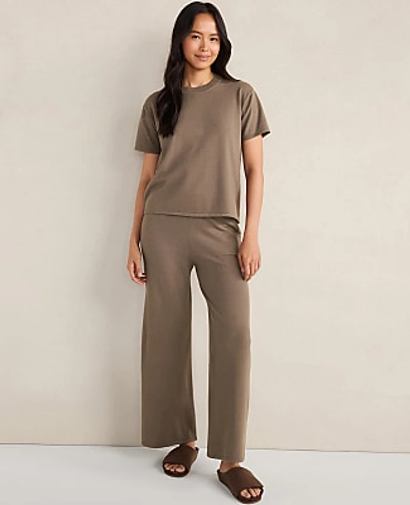 Ann Taylor Haven Well Within Relaxed Jersey Wide Leg Pants Saddle Brown Women's