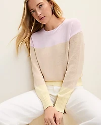 Ann Taylor Colorblock Crew Neck Sweater Women's