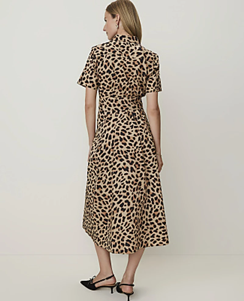 Ann Taylor Animal Print Collared Midi Shirtdress Cafe Au Lait B Women's