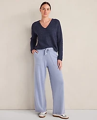 Ann Taylor Haven Well Within Merino Wool Blend V-Neck Sweater Soft Denim Blue Women's