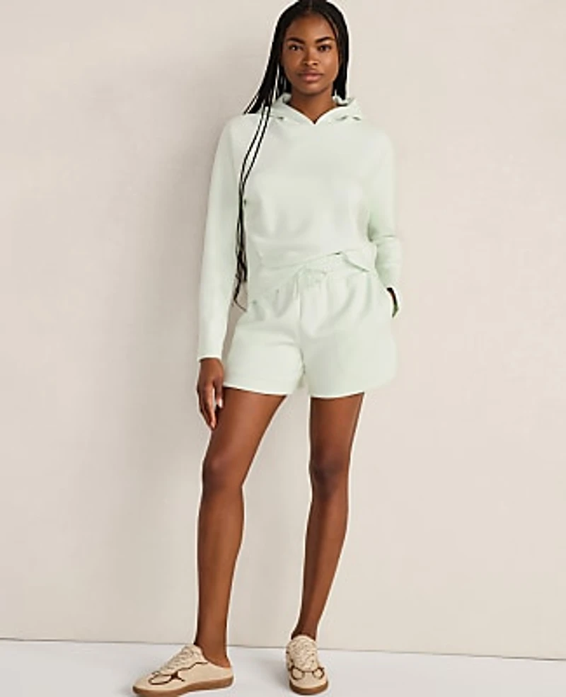 Ann Taylor Haven Well Within Soft Knit Pleated Hoodie Trellis Women's