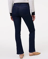 Ann Taylor The Slim Jean — Curvy Fit Classic Rinse Wash Women's