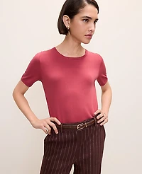 Ann Taylor Easy Sweater T-Shirt Women's