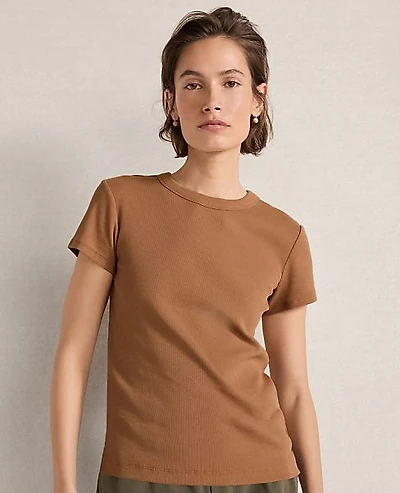 Ann Taylor Haven Well Within Organic Cotton Short Sleeve T-Shirt Fawn Heather Women's