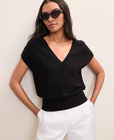 Ann Taylor V-Neck Sweater Women's
