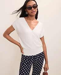 Ann Taylor V-Neck Sweater Women's